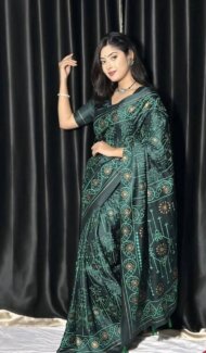 KANJI KATAN SAREE (2)