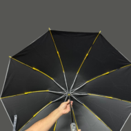 bdvive umbrella (2)