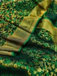Tanabana-Katan-Saree-48